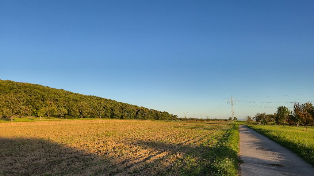Breckenheimer Landschaft